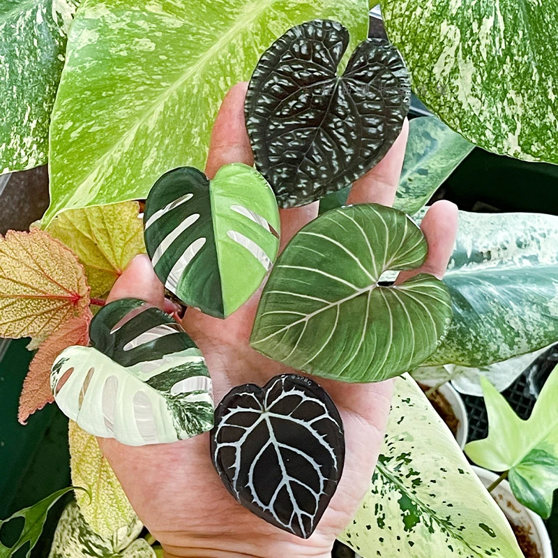 Glossy Simulation Leaf Phone H – Phone Accessories Vending Machine Bewertung und Preis