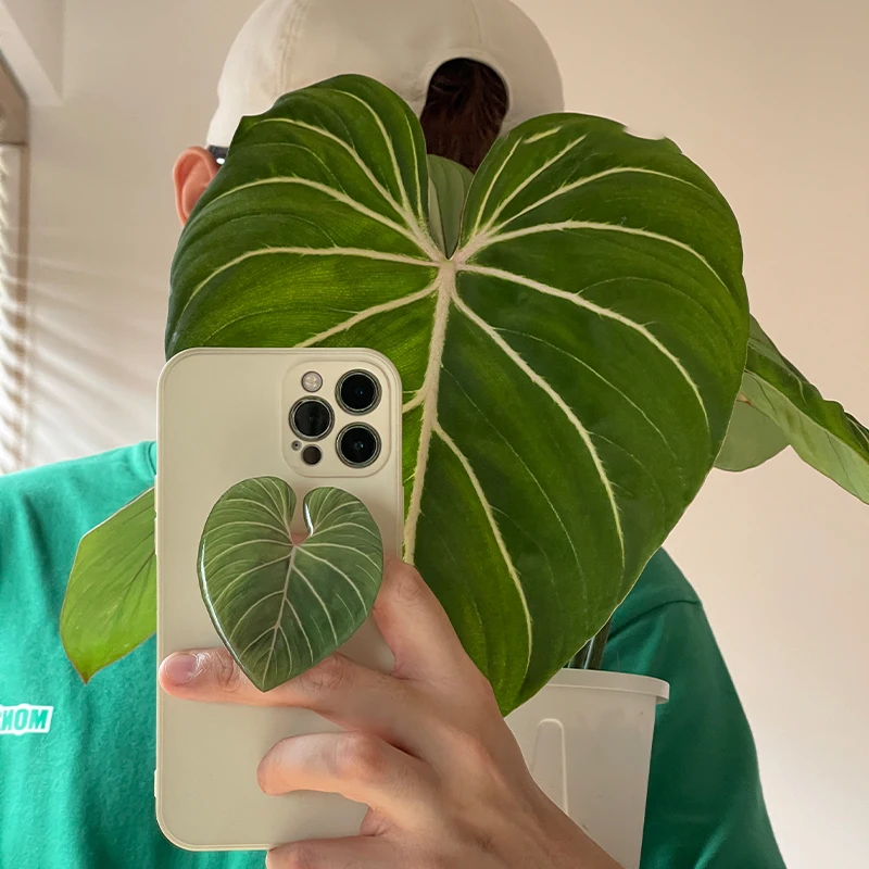 Glossy Simulation Leaf Phone H – Phone Accessories Vending Machine Bewertung und Preis